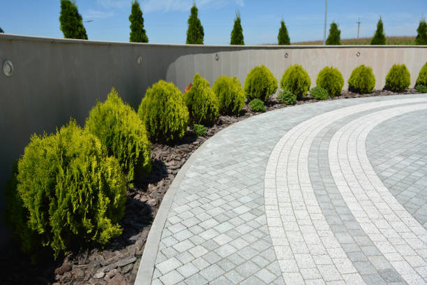 Best Driveway Pavers Near Me  in St Stephen, SC